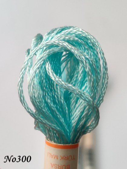 300 (DMC747) (1) (Medium) 560x560